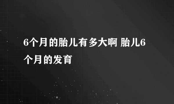 6个月的胎儿有多大啊 胎儿6个月的发育