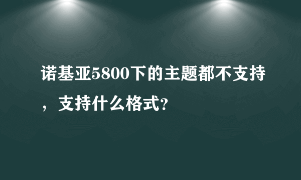 诺基亚5800下的主题都不支持，支持什么格式？