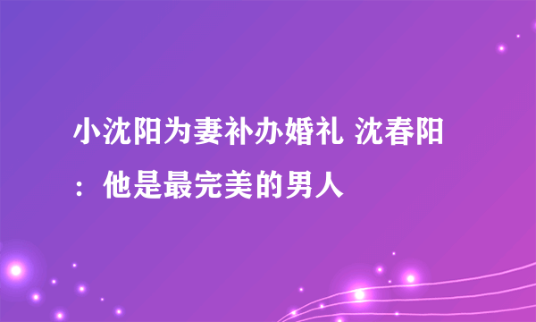 小沈阳为妻补办婚礼 沈春阳：他是最完美的男人