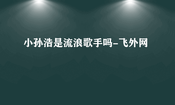 小孙浩是流浪歌手吗-飞外网