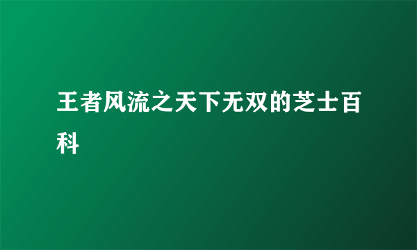 王者风流之天下无双的芝士百科