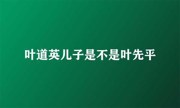 叶道英儿子是不是叶先平