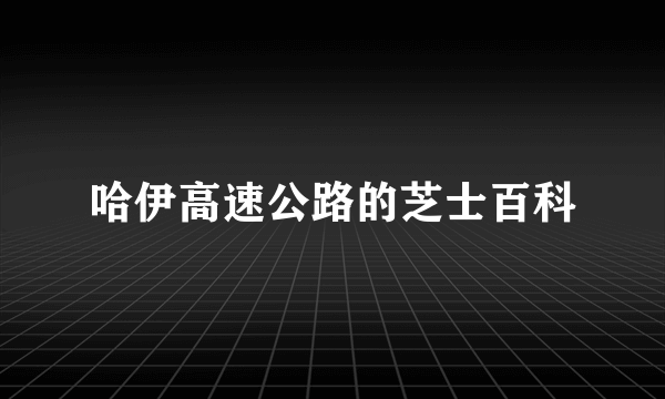 哈伊高速公路的芝士百科