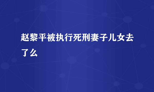 赵黎平被执行死刑妻子儿女去了么