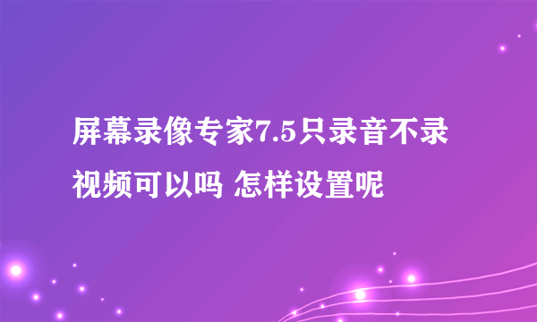 屏幕录像专家7.5只录音不录视频可以吗 怎样设置呢