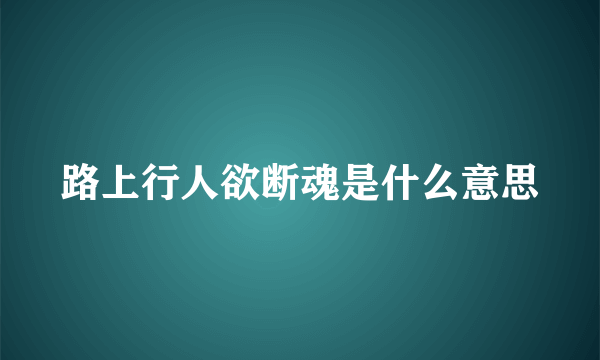 路上行人欲断魂是什么意思