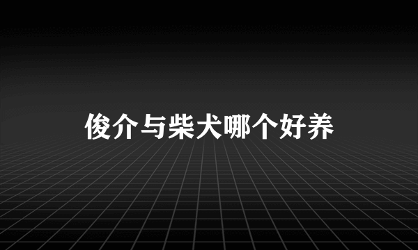 俊介与柴犬哪个好养