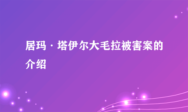 居玛·塔伊尔大毛拉被害案的介绍