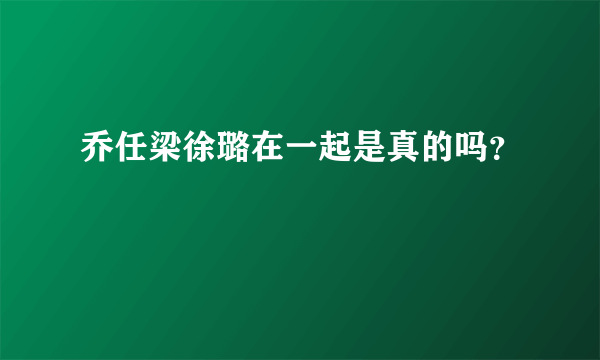 乔任梁徐璐在一起是真的吗？