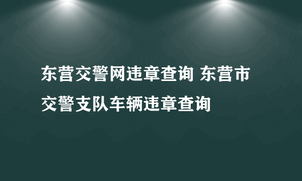 东营交警网违章查询 东营市交警支队车辆违章查询