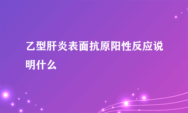 乙型肝炎表面抗原阳性反应说明什么