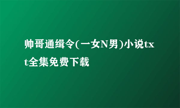 帅哥通缉令(一女N男)小说txt全集免费下载