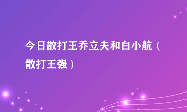 今日散打王乔立夫和白小航（散打王强）