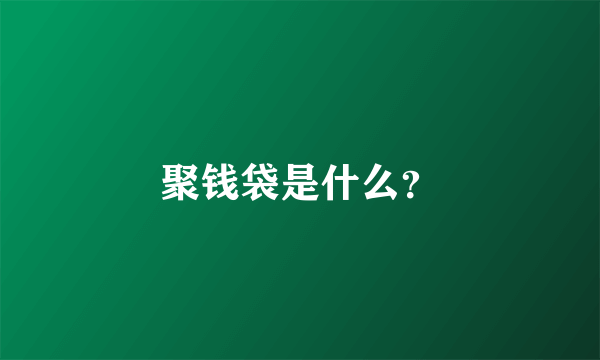 聚钱袋是什么？