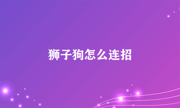 狮子狗怎么连招