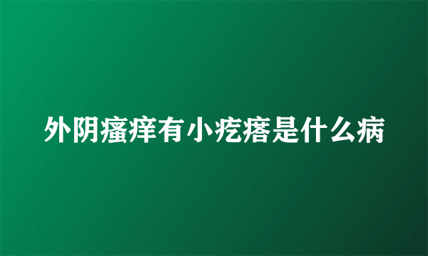 外阴瘙痒有小疙瘩是什么病