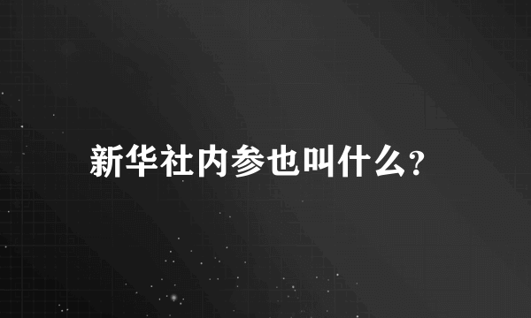 新华社内参也叫什么？