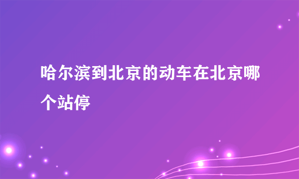 哈尔滨到北京的动车在北京哪个站停