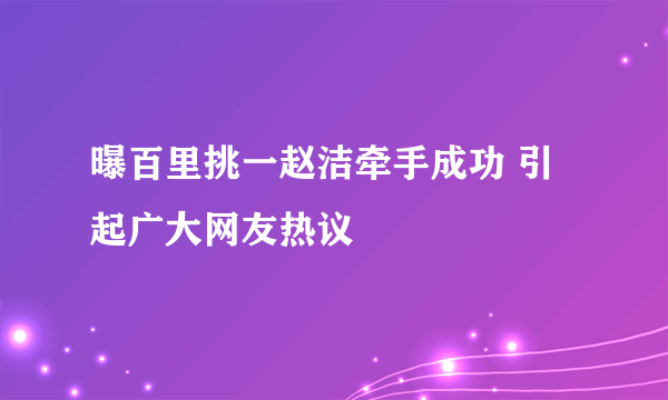 曝百里挑一赵洁牵手成功 引起广大网友热议