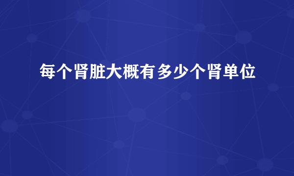 每个肾脏大概有多少个肾单位