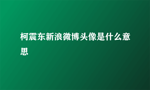 柯震东新浪微博头像是什么意思