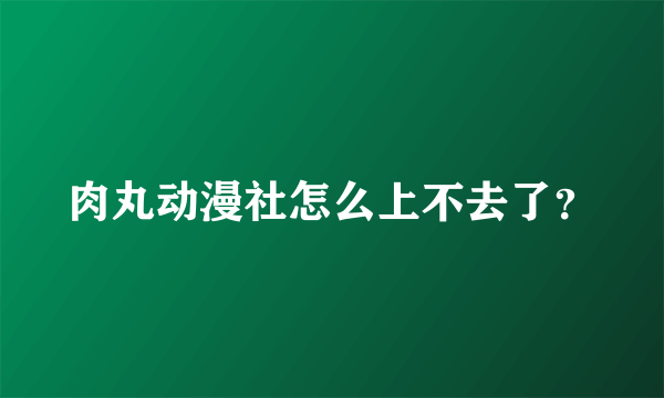 肉丸动漫社怎么上不去了？