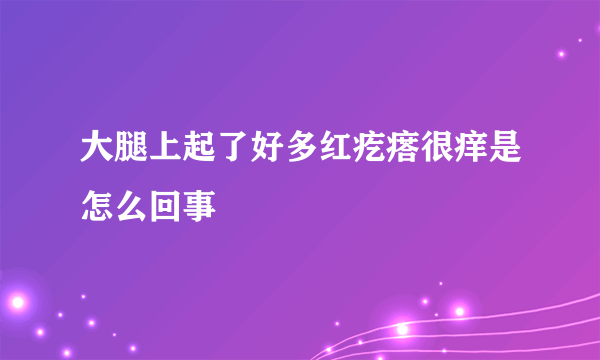 大腿上起了好多红疙瘩很痒是怎么回事