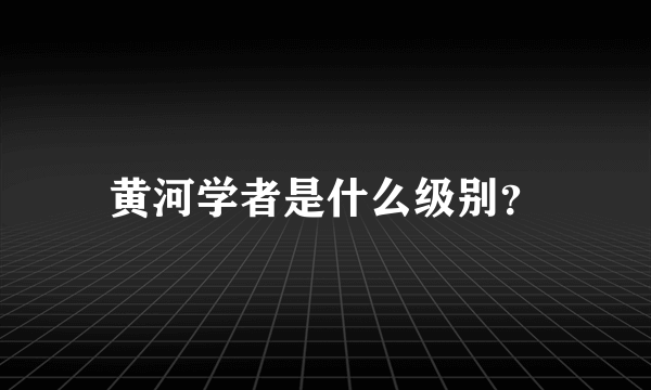 黄河学者是什么级别？