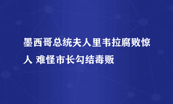 墨西哥总统夫人里韦拉腐败惊人 难怪市长勾结毒贩