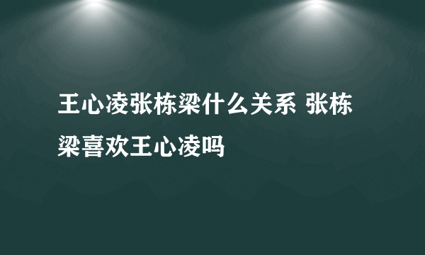 王心凌张栋梁什么关系 张栋梁喜欢王心凌吗