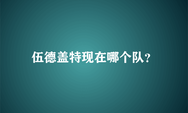 伍德盖特现在哪个队？