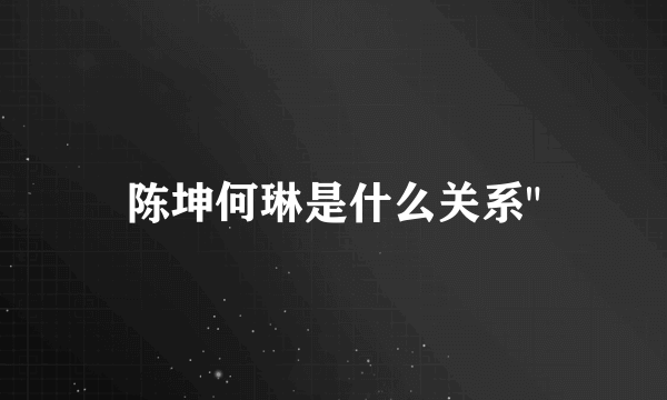 陈坤何琳是什么关系