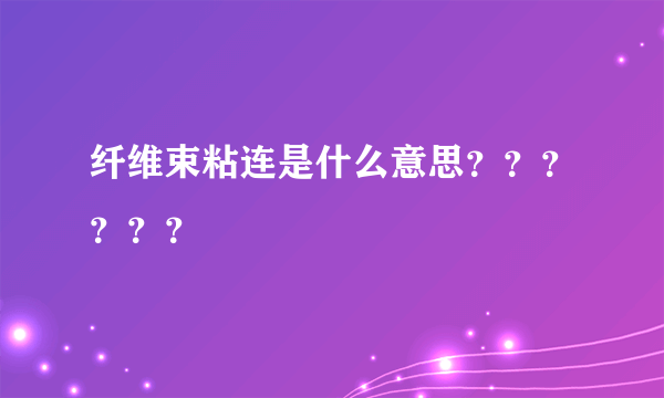 纤维束粘连是什么意思？？？？？？