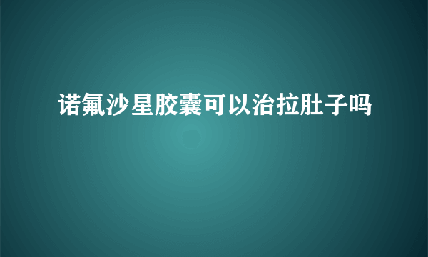 诺氟沙星胶囊可以治拉肚子吗