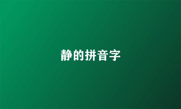 静的拼音字