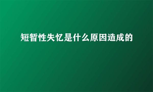 短暂性失忆是什么原因造成的