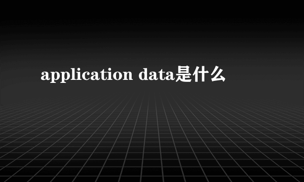 application data是什么