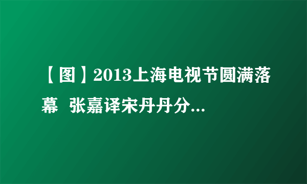 【图】2013上海电视节圆满落幕  张嘉译宋丹丹分获视帝视后