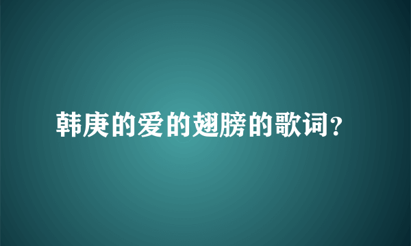 韩庚的爱的翅膀的歌词？