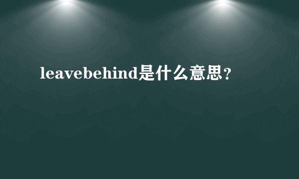 leavebehind是什么意思？