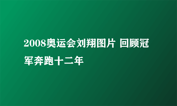 2008奥运会刘翔图片 回顾冠军奔跑十二年