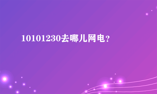 10101230去哪儿网电？