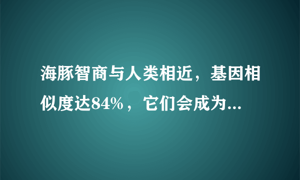 海豚智商与人类相近，基因相似度达84%，它们会成为新人类吗？