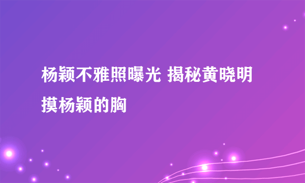 杨颖不雅照曝光 揭秘黄晓明摸杨颖的胸