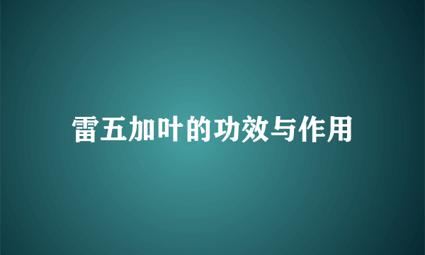 雷五加叶的功效与作用