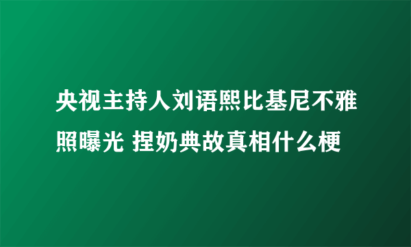 央视主持人刘语熙比基尼不雅照曝光 捏奶典故真相什么梗