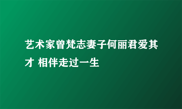 艺术家曾梵志妻子何丽君爱其才 相伴走过一生