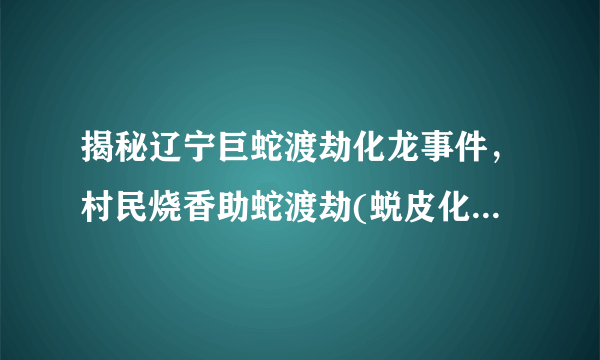 揭秘辽宁巨蛇渡劫化龙事件，村民烧香助蛇渡劫(蜕皮化龙)-飞外网