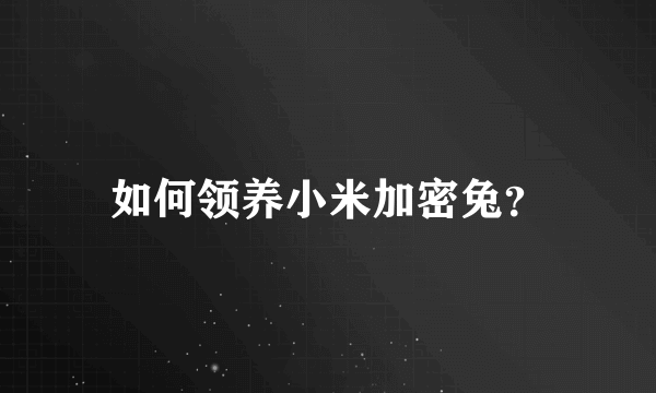 如何领养小米加密兔？