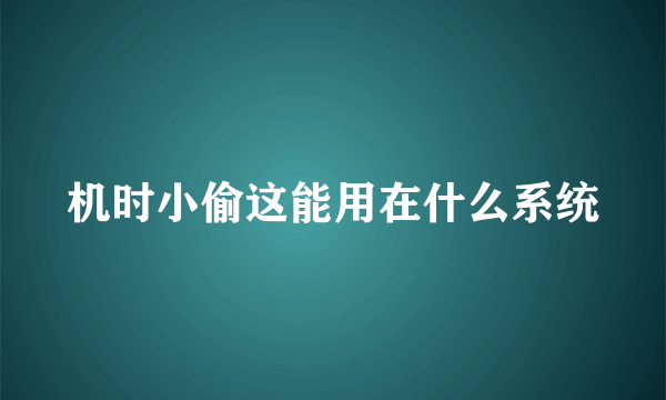 机时小偷这能用在什么系统